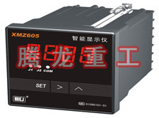 溫度表、數(shù)字顯示儀、濕度表