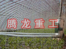 大棚花卉供暖設備、大棚卉采暖設備、大棚花卉取暖設備