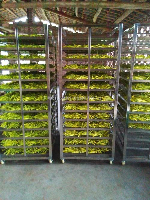 黃花菜烘干機、黃花菜烘干設(shè)備、黃花菜干燥機、黃花菜干燥設(shè)備、